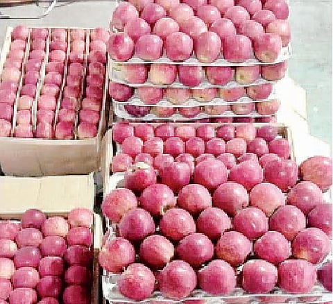 हिमाचलमधील सफरचंदांचा पुण्यात गोडवा