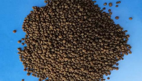 सोलापूर : बोगस खतांचा साठा आढळलेल्या ‘त्या’ दुकानाचा खत विक्री परवाना निलंबित