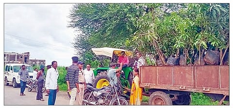 राहुरी : परराज्यातून आलेली झाडे महसूलच्या पथकाकडून जप्त करण्यात आलेली आहेत.