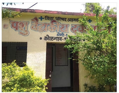 नगर : कोळगावला मिळेना पशुवैद्यकीय अधिकारी