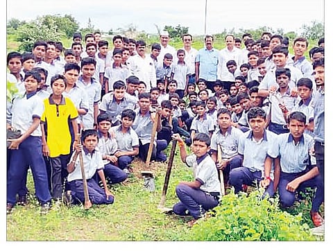 कोथळे ग्रामपंचायत व पाणी पंचायत यांच्या वतीने वृक्षारोपण करण्यात आले.
