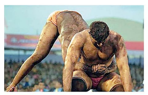 महाराष्ट्र केसरी कुस्ती स्पर्धा नगरला घ्यावी : आ. संग्राम जगताप