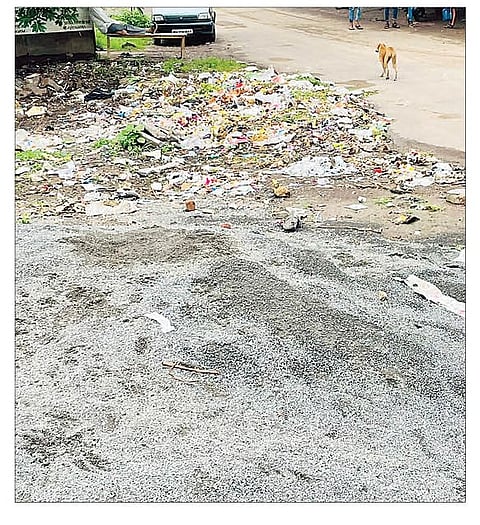 राहुरी : बारागाव नांदूर येथे पसरलेल्या या अस्वच्छतेने ग्रामस्थांचे आरोग्य धोक्यात आले आहे.