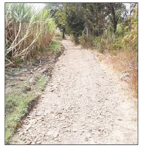 नगर : दीड हजार किमीचे पाणंद रस्ते; विरोधकांना पोटशूळ