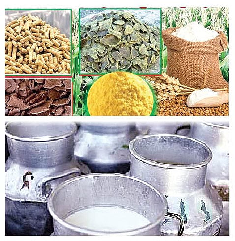 पुणे : पशुखाद्यदरात वाढ; दूध उत्पादकांच्या दूध दराचे काय?