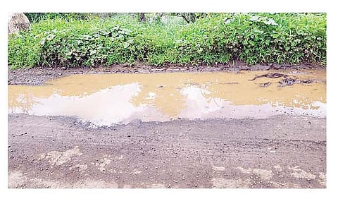 भांबर्डे - रांजणगाव गणपती मार्गावर अनेक ठिकाणी खड्डे पडले आहेत.