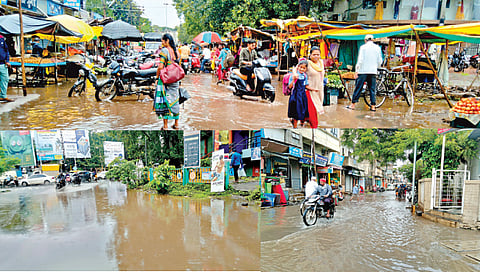 सांगली : जिल्ह्यात सर्वत्र दमदार पाऊस