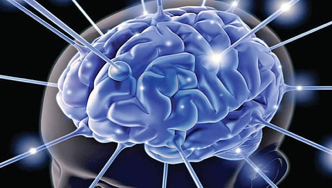 मेंदूतील अपस्माराचे केंद्र शोधणारे नवे उपकरण