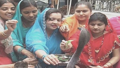 नागपंचमी: भारतीय स्त्रिया नागाला का मानतात भाऊ आणि का करतात भावासाठी उपवास?