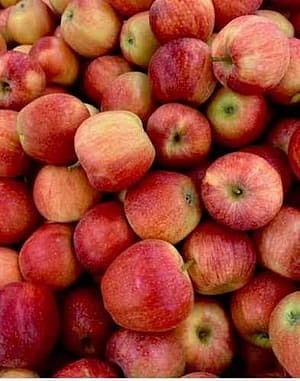 भारतीय सफरचंदाची बाजारात दमदार एंट्री