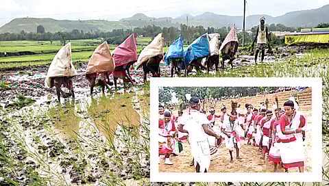 आदिवासी तरुणाईने साहित्यातून घ्यावी प्रेरणा : जागतिक आदिवासीदिन