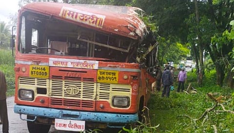 झाड कोसळले