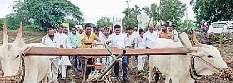 कोंभळी : ‘सीईओ’ येरेकरांनी धरली पाभरीवर मूठ