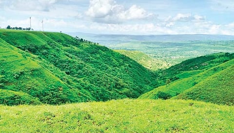 सांगली : चांदोली पर्यटनाला चालना कधी?