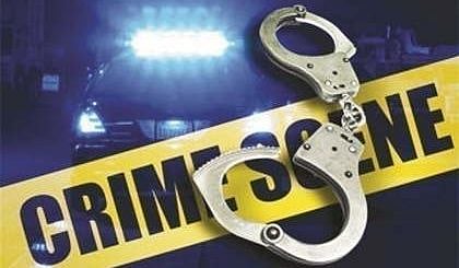 पिंपरी : निगडीत महिलेची पर्स हिसकावली