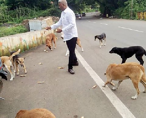 मुक्या जनावरांना ते दररोज देतात अन्न