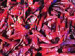 मिरचीने आणले डोळ्यात पाणी ; 100 ते 120 रुपयाने मिरचीच्या भावात वाढ