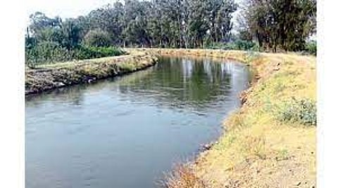 कालव्याच्या अस्तरीकरणाला विरोध; सोमेश्वर परिसरात शेतकर्यांची एकजूट