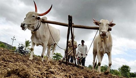 Moonson : जूनच्या सरासरीत राज्यात यंदा नीचांकी पाऊस; पेरण्या खोळंबल्या