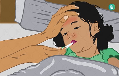 डेंग्यू, चिकुनगुनिया, स्वाईन फ्लू : पुण्यात जास्त संसर्ग