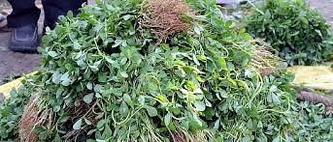 पिंपरी : श्रावण महिन्यामुळे भाज्यांच्या दरात वाढ