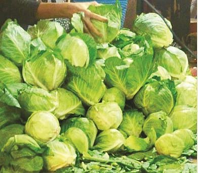 पुणे : कोबीला मिळतोय कवडीमोल भाव