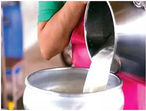 Milk prices | ३.२ फॅट, ८.३ एसएनएफचे दूध स्वीकारले जाणार, फॅट निकषात बदल