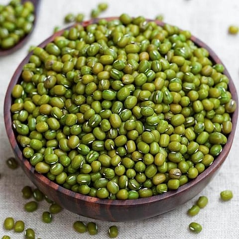 नगर : मुगाला 7 हजार 751 रुपये भाव