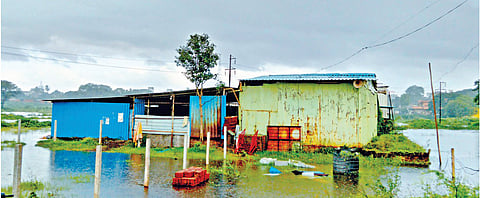 सांगलीत पूरपट्ट्यात पाणी शिरले; स्थलांतर सुरू