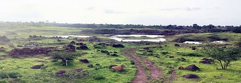 कोंभळी : ऐन पावसाळ्यात तलाव खपाटीला खरिपाने तारले