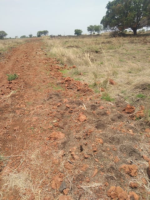 सांगली : टेंभूच्या बंदिस्त पाईपलाईनमुळे शेकडो एकर शेती पडीक राहण्याची भीती