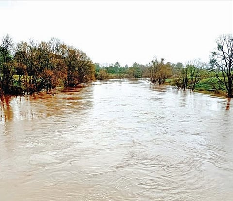 चरण : चांदोली धरणातून पाण्याचा विसर्ग कमी केल्याने वारणा नदीचे पाणी पात्रात गेले आहे.