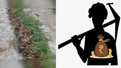 अतिवृष्टी बाधित अनुदान www.pudhari.news