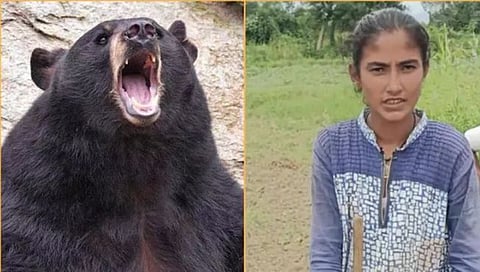 Rajasthan : याला म्हणतात धाडस! बापाला वाचवण्यासाठी मुलगी थेट अस्वलाशी भिडली