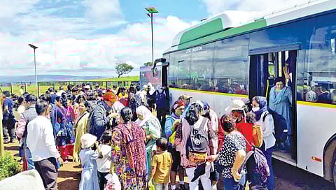 सातारा : ‘कास’ला 25 हजार पर्यटकांनी दिली भेट