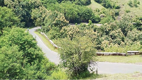 कोल्हापूर : गुन्हेगारी रोखण्याचे कोडोली पोलिसांसमोर आव्हान