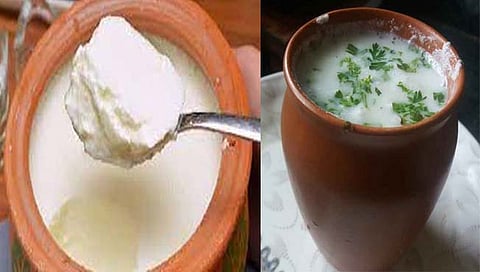 मसालेदार मट्टा