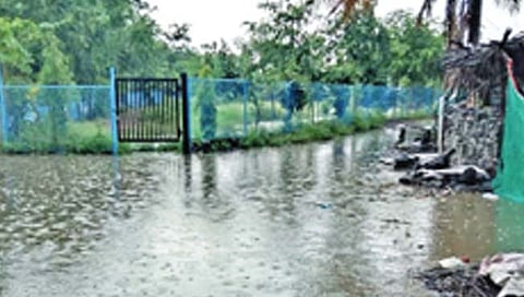 लातुरात विजांच्या कडकडाटासह पाऊस