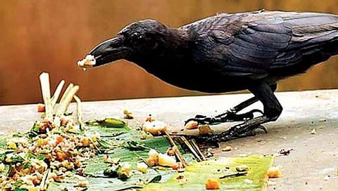 नाशिक : पितृपक्षास प्रारंभ झाला असून जाणून घ्या पितृपक्षाच्या श्राद्ध तिथी