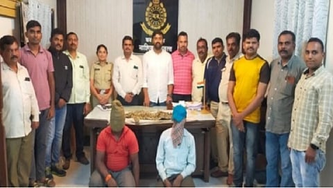 नाशिक : बिबट्याच्या कातडी विक्रीचा डाव उधळला, दोघे जेरबंद