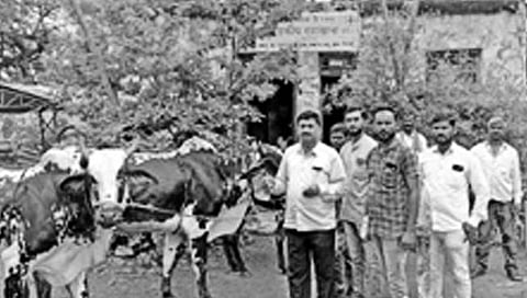 लातूर : निटुरात लंपीच्या लसीकरणाला सुरुवात