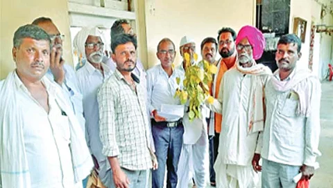 बीड : सोयाबीनवर तांबेरा रोग