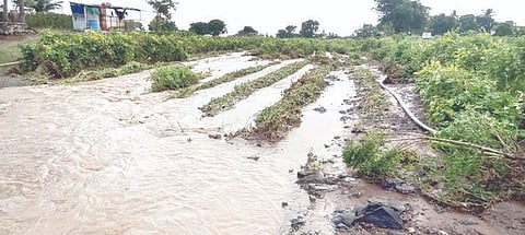 सिन्नर : मुसळधार पावसामुळे जलमय झालेली शेती.