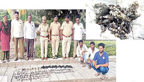 सिन्नर : चिंच झोडणार्या कामगारांना ताब्यात घेताना वनविभागाचे अधिकारी.