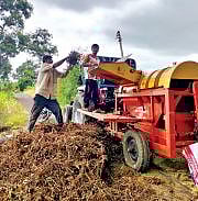निपाणी : सोयाबीनच्या सुगीला पावसाचा अडसर
