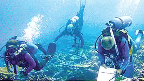 ओशियनोग्राफी क्षेत्राची करिअर वाट