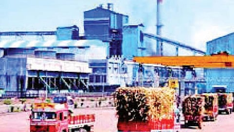 कोल्हापूर : एक ऑक्टोबरपासून हंगाम सुरू करण्याच्या हालचाली