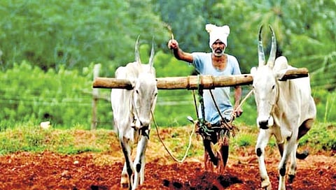 भविष्यात शेती करणार तरी कोण?