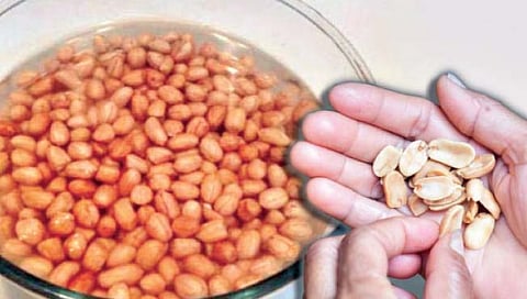 भिजवलेले शेंगदाणे खाण्याचे ‘हे’ आहेत फायदे, जाणून घ्या सविस्तर