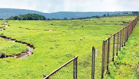 आता कास पठारावर इलेट्रॉनिक्स बसमधून सफर